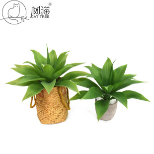��؈����Gֲ�ٶ�������40cm�ʹ��m���ϻ��͏d�b������mֲ���辰