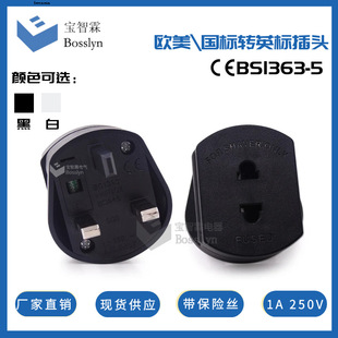 Ӣ����횵��D�Q���^ �WҎ�DӢʽ�D�Q���� Shaver adapter