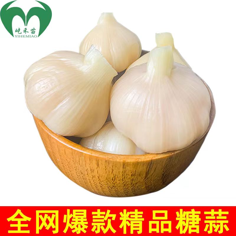 2.5kg 액상 성분을 첨가하지 않은 백설탕마늘 [밸류팩]