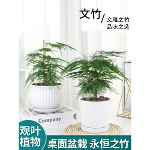 �Gֲ���Դ������k���҃ȿ͏d�����՚⻨���׻�ֲ���辰���Bֲ�ﻨ
