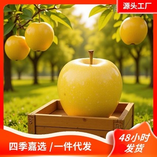 ɽ�|���ھS�{˹�S���O�����rˮ�����������^���������͸�ʿ���r