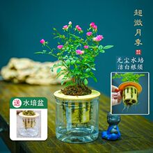 ������ˮ�೬΢�¼��_����������[���ԃ����՚��ļ��҃����̨��