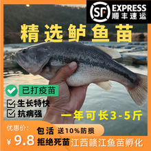 �����|�~���ش�����|�~7̖���|��ں��|·��������ʳ��ˮ�Bֳ7��