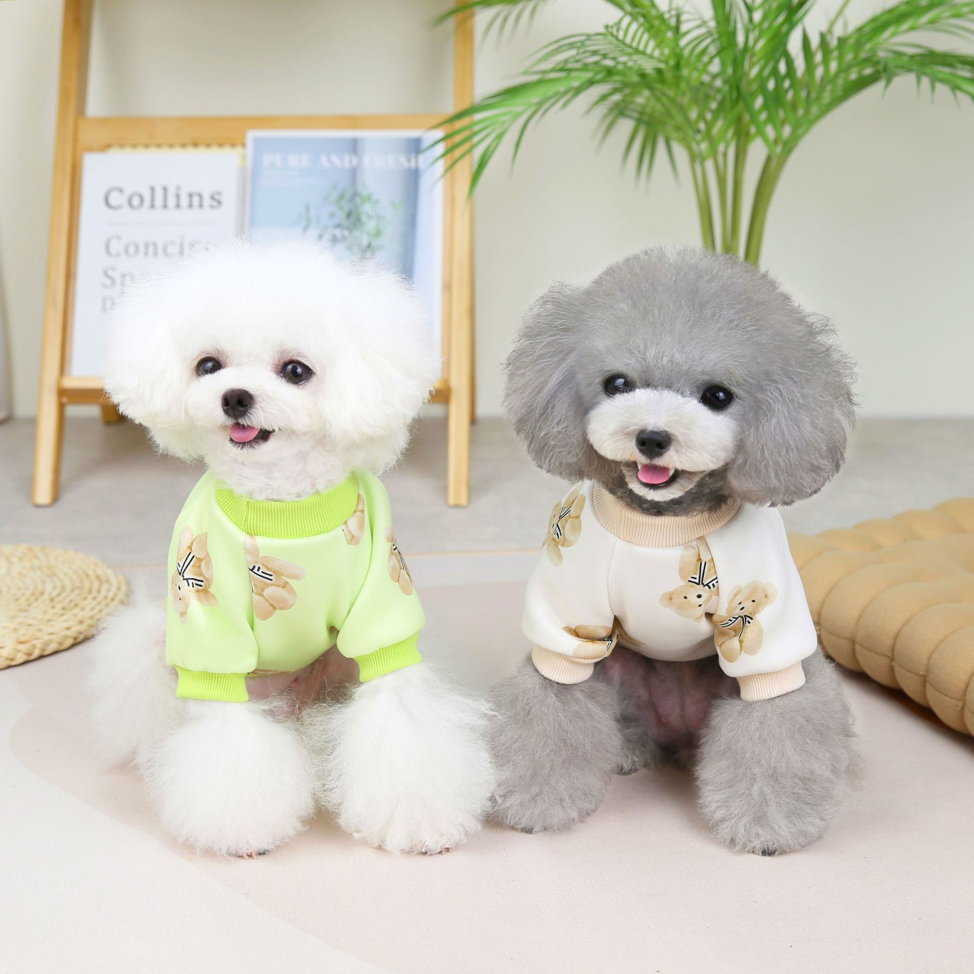 2022洛丽塔小熊卫衣