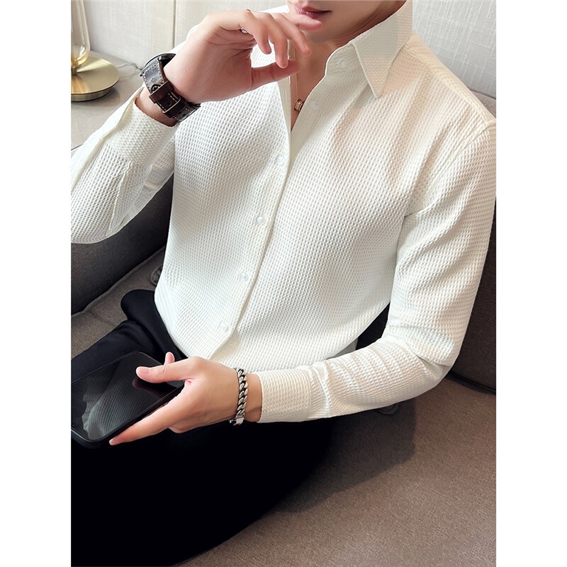 New Waffles Men's Shirt Long-sleeved High-end Spring and Autumn High-end Fashion French Business Shirt Men's Wear