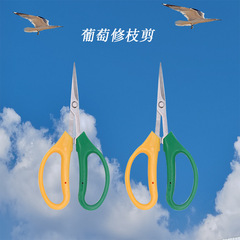 Manufacturer direct supply wholesale stainless steel bend head straight head grape pruning shear fruit picking pruning shear garden shear