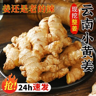 �������С�S��2025���r�۽����ӽ��F���r��ɳ���Ͻ������߲����l