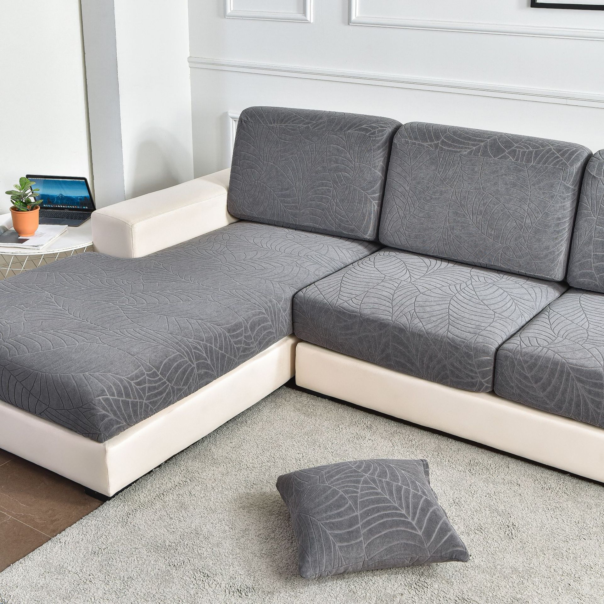 DSC_8567立派摄影 (4).jpg