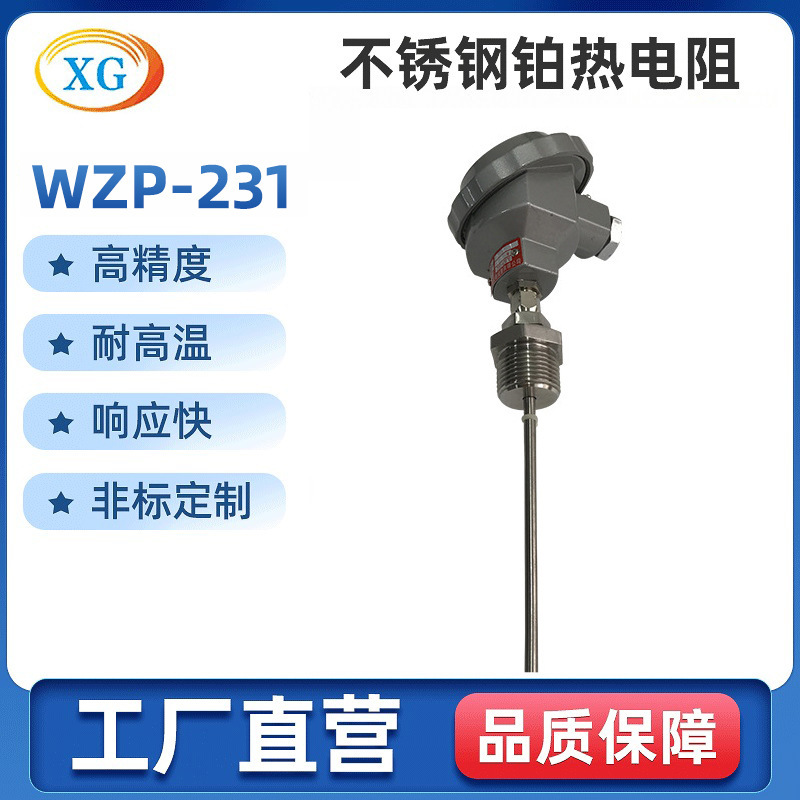 Shockproof Inner Armored Platinum Thermal Resistance Supporting Iron Base WZP-230 PT100 Assembled Platinum Resistance