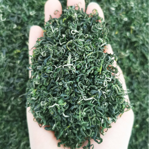 2024 New Tea Sichuan Ya'an Alpine Cloud Green Tea Mengding Mountain Maofeng Fragrant Tea Loose Tea Biluochun
