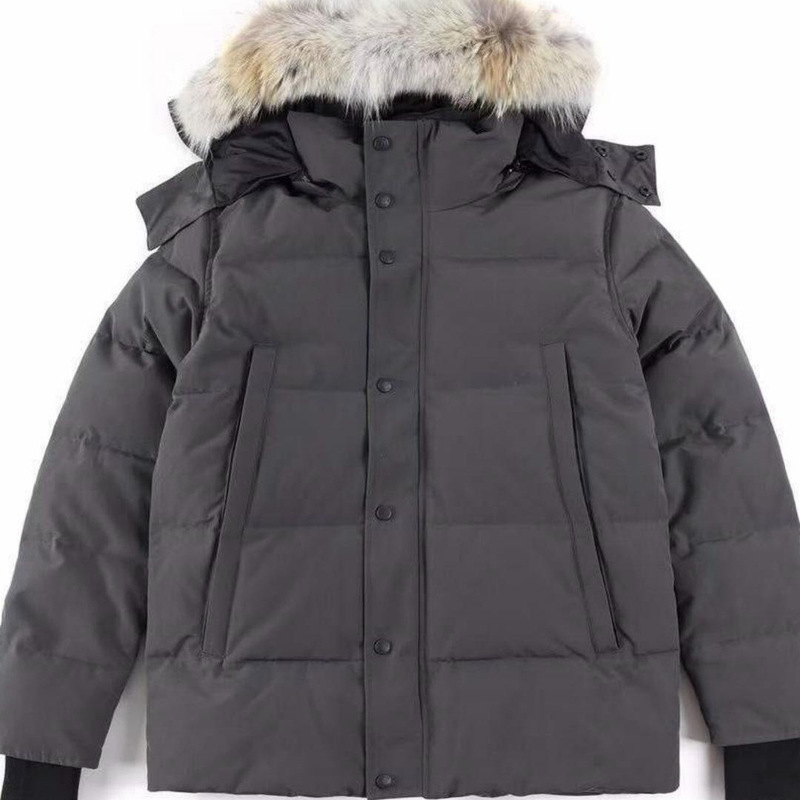 29 Styles of Large Goose down Jackets Wyndham Canada Same Style Men's and Women's Parka Jackets 3808Ma