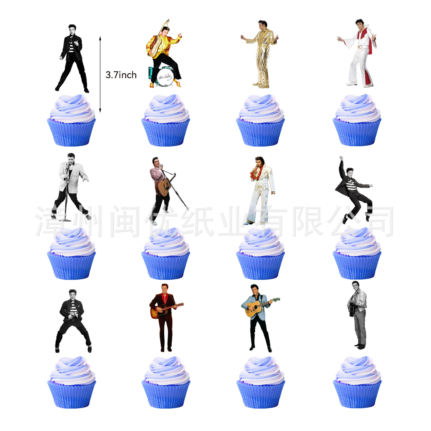 Rock singer Elvis Presley birthday theme party set banner hanging…
