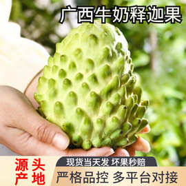 新鲜大目释迦果牛奶凤梨佛头果当季水果冰淇淋番荔枝大果一件代发