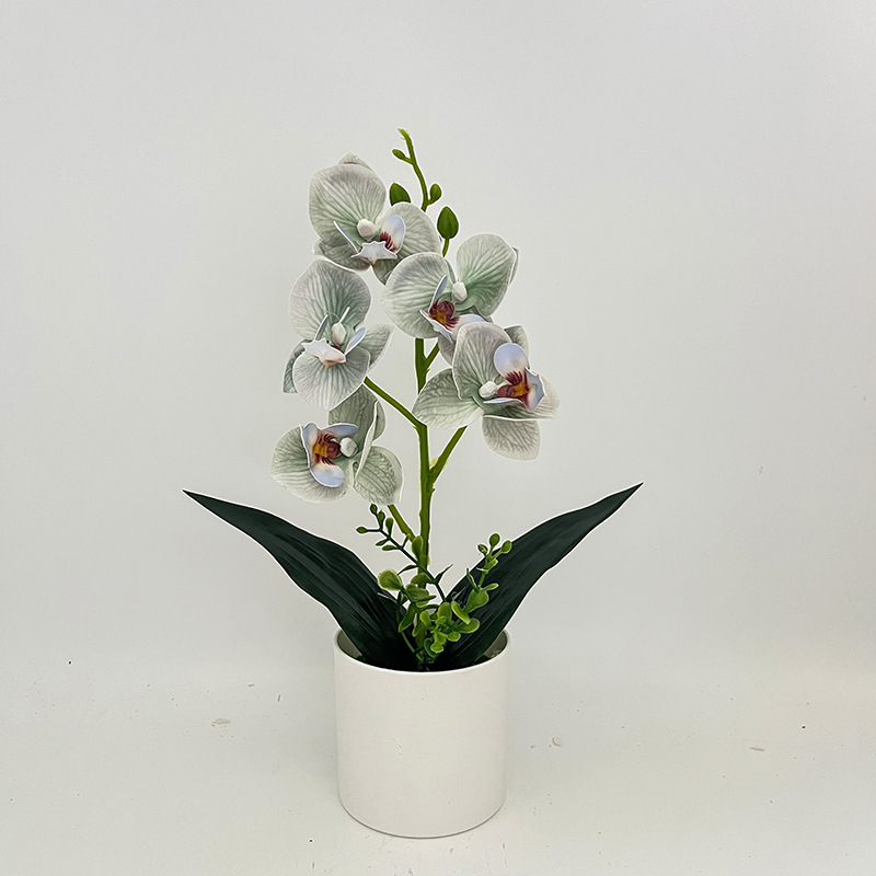 라이트 그린 (높이 31*가로 17cm)