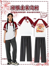 男式T恤;印前设计服务;男Polo衫