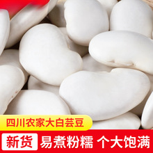 白芸豆干货500g新货白腰豆大芸豆新鲜云豆大豆无硫大白豆雪豆粗粮