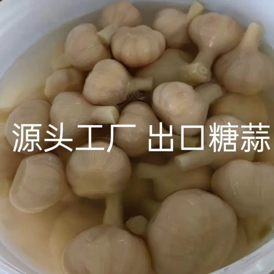 无漂白桶装糖蒜酸甜腌渍当季新鲜白玉糖蒜水晶蒜出口源头厂家直发