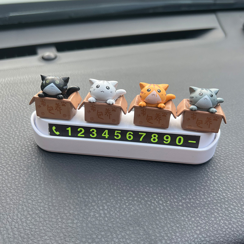 흰색 단어-새끼 고양이