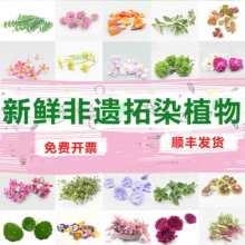 ��ֲ����Ⱦ���ϰ����r�����H�ӻ����׃��ֹ�DIY��ӡ�r���~��