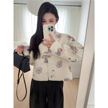 SW�p�ݾd��ë�켏�p�洩����ʽë������Ů�r��2025�������L����