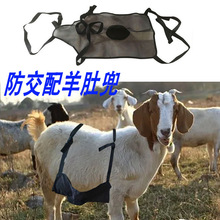 �羳�·�����������ԭ�N�����͸���������ĸ��Ƕ����ÈԹ�����