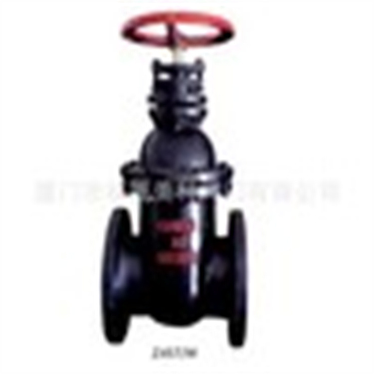 美科Z45T/Z41T-10Q铜芯防护闸阀DN100 DN200 DN300