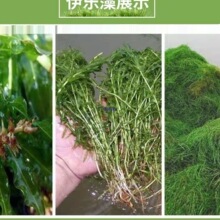 �߲���������Բ����rз�Bֳ�͜�ˮ����������ˮ�|�~���쾰