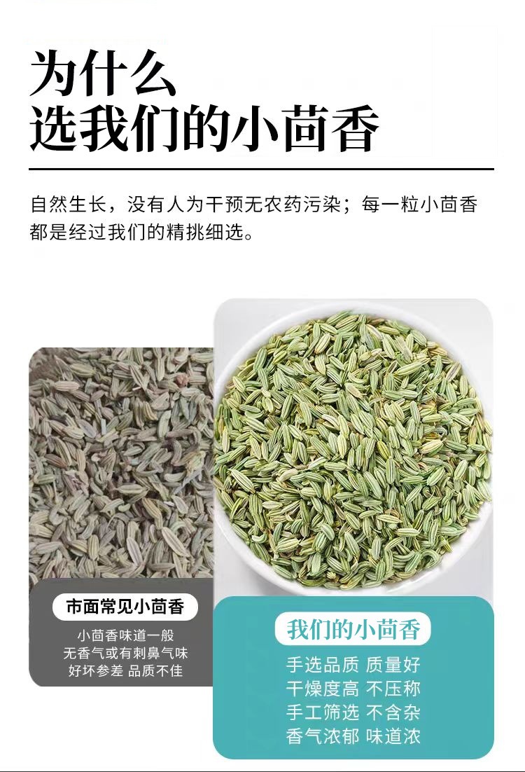 Fennel Seed (Foeniculum vulgare) — Gansu-Grown Food Herb & Culinary Spice, 500g quality and texture