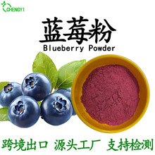 蓝莓粉蓝莓果汁粉水溶速溶果蔬粉固体饮料烘焙食品级原料现货包邮