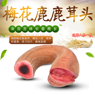 Selection of Jilin Sika Deer Pilose Antler Head Stubble 2 Bar Fresh Pilose Antler Whole Branch Now Cut Antler Head 100g One