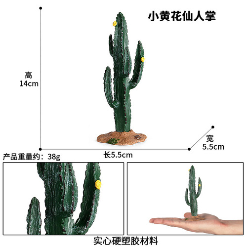Simulated micro-landscape tropical cactus, baobab, coconut, rockery, plant, sand table, scene, ornaments, tree model