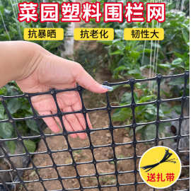 迪仕凯10年用不坏家用菜园栅栏专用塑料围栏网抗晒抗老化结实耐用