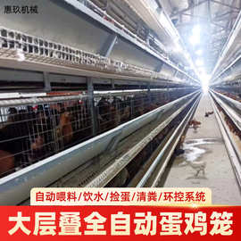 养鸡设备生产厂家 自动喂料线饮水捡蛋清粪 全自动上料设备定制