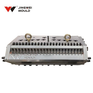 EPP,EPS,ETPU Sheet Die Beads Microcellular Foamed Material Sheet Die for Supercritical Fluid