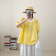 �黨������� 2026�ļ��¿� ��˿���������޳��¿�������Ů12512