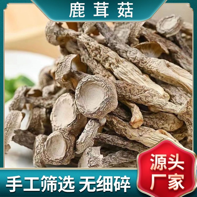 鹿茸菇干货10斤产地直发整箱批货500g代发土特产营养煲汤炒菜批发