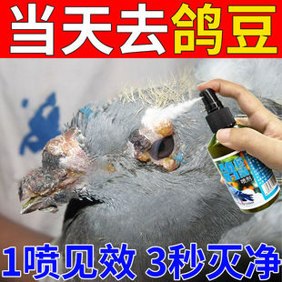 ������������һ�߹���Ч��ِ�������Ƥ�L�����Ç�����������