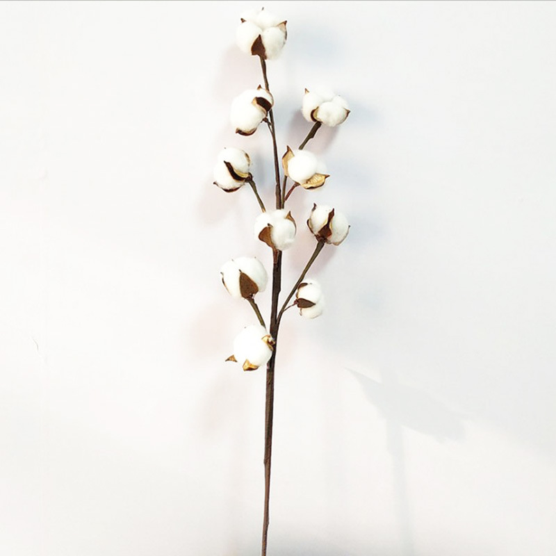 Décoration de mariage - Lot de 10 fleurs artificielles en coton, naturelles et séchées, avec longues branches - Achat transfrontalier_voghion.com