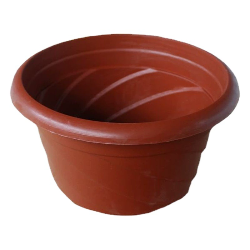 Круглый пластиковый хлорофитум Хлорофитум с подвешенным крючком для продажи