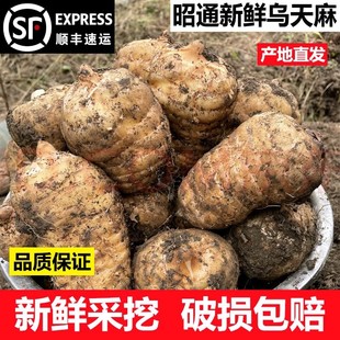 �F�����r�����ͨС�݉Ξ����鎧���l؛��Ұ�����a�Ҝ�һ�����l