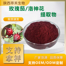 洛神花花青素25% 洛神花提取物 水溶性玫瑰茄粉 玫瑰茄浓缩粉