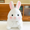 Fat lovely Rabbit Plush Toys Bunny Doll rabbit doll wholesale Ragdoll girl student birthday gift