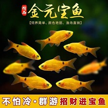 ������ˮ���B��ˮ�ͻ��Bõ���k�����a�~������ӻ��~�^�p��Ԫ��