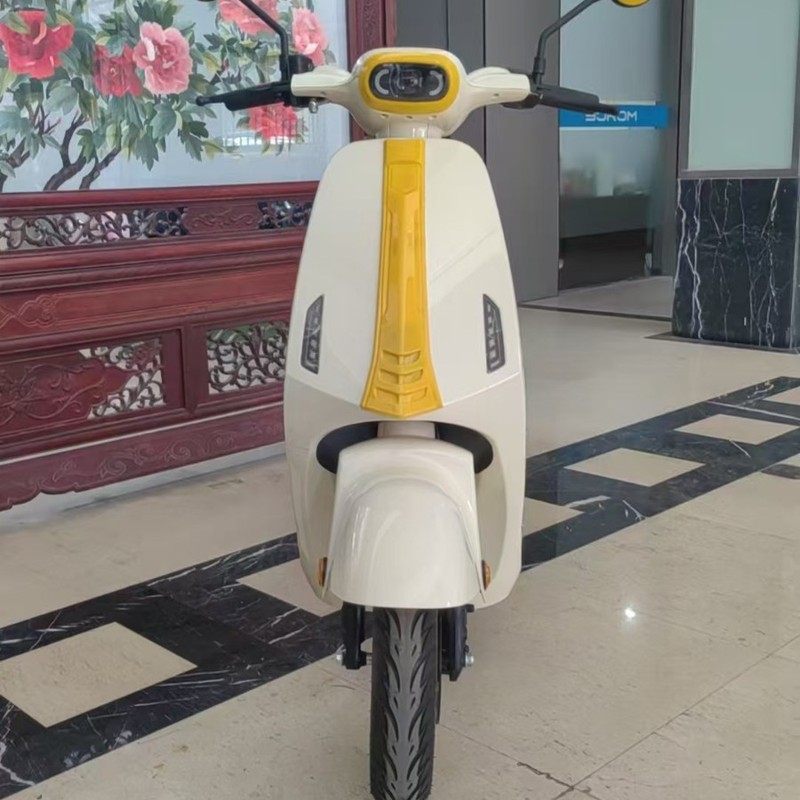 ベトナムの新しい H7 電動自転車国境を越えた外国貿易電気自動車メーカー直販ディスクブレーキ付き二輪電気自動車|undefined