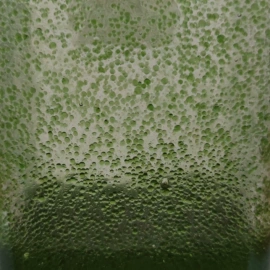 专业线加工;面部护理加工;身体护理加工