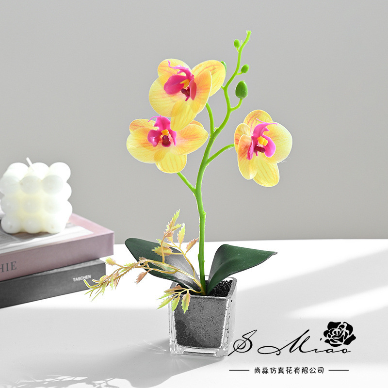 Simulación de flores pequeñas cuatro flores orquídeas mariposa fábrica de bonsai directamente para flores artificiales adornos de decoración interior flores de seda imitación en maceta image 3