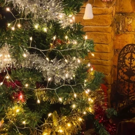 室内LED;LED装饰灯;室外LED