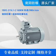 YBX5-315L1-2 160KW D2980r/min ꖷһЧ늙C