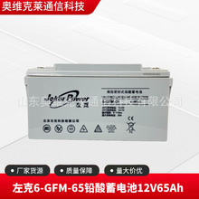 左克6-GFM-65铅酸蓄电池12V65Ah通信5G基站UPS机房光伏后备储能