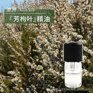 ���ް�����˹���~Ƭ���s���¸����{΢����1ml�η������~����